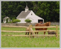 Do It Yourself Horse Barn Building kits from CountryCarpenters.com