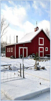 Build an Inexpensive Small Pone Barn - Click to see samples