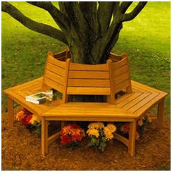 DIY Wooden Tree Bench Building Plans from WoodStore.com